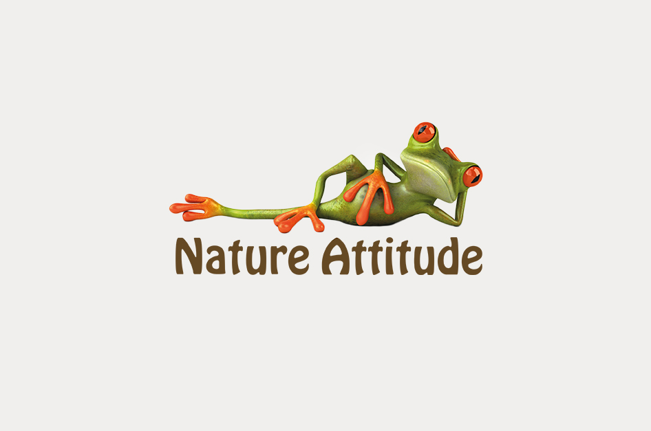 Logo boutique nature attitude